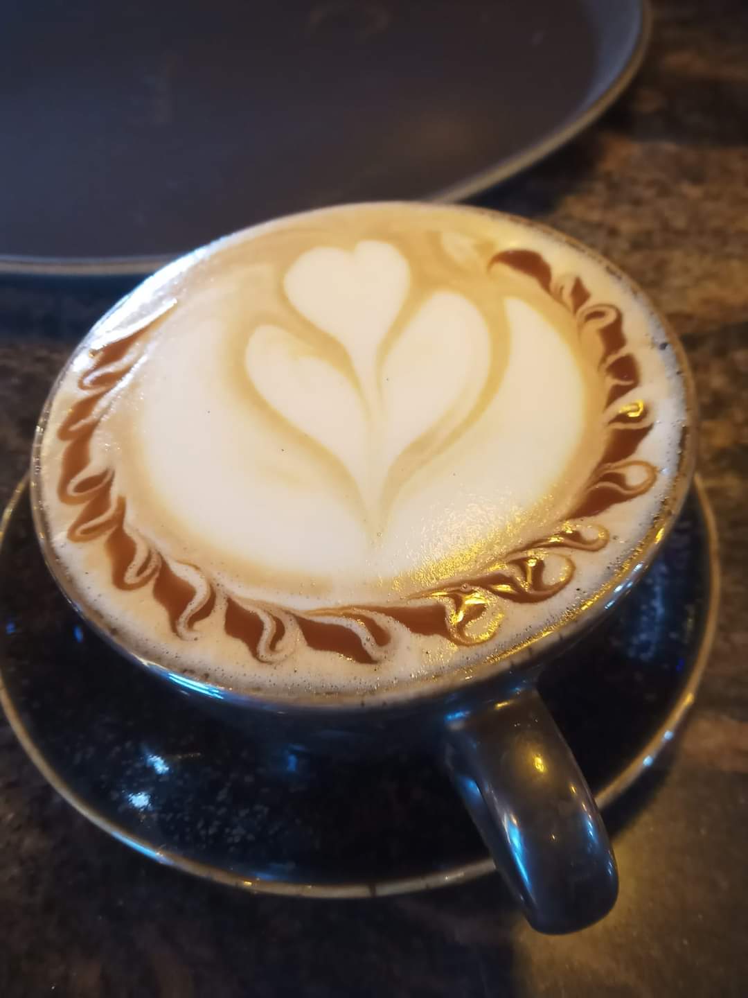 مواسه الوحيد