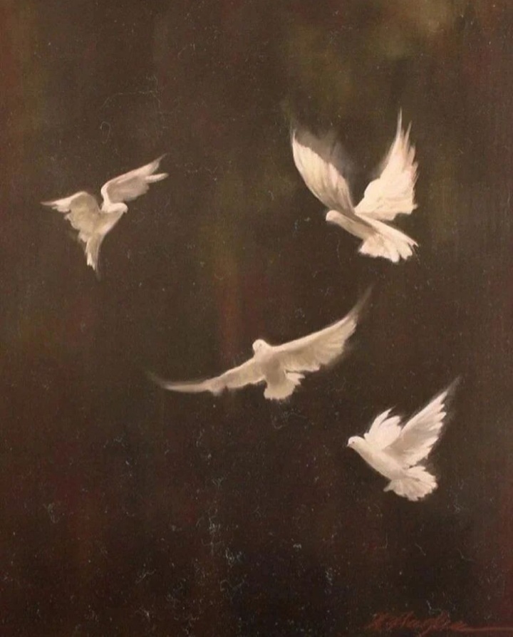 القليوبية أو القاهرة 